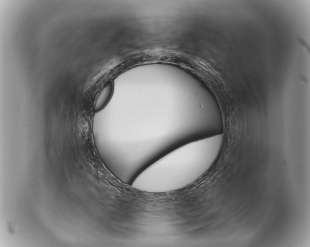 X0000102011302200807180902