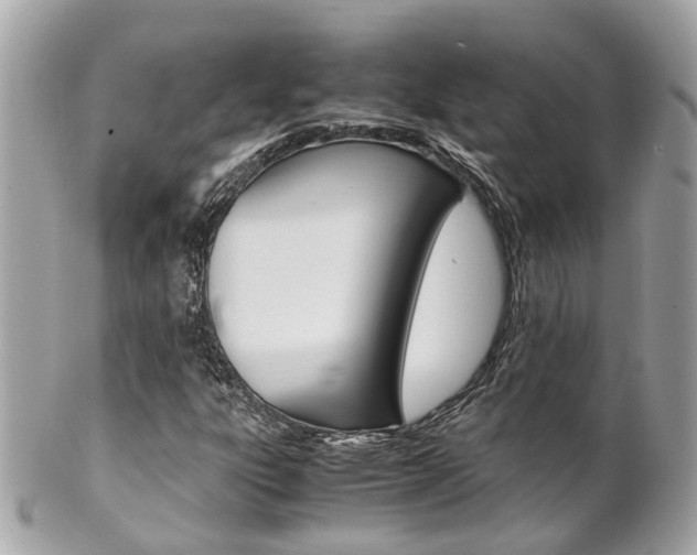 X0000102011303200807180902