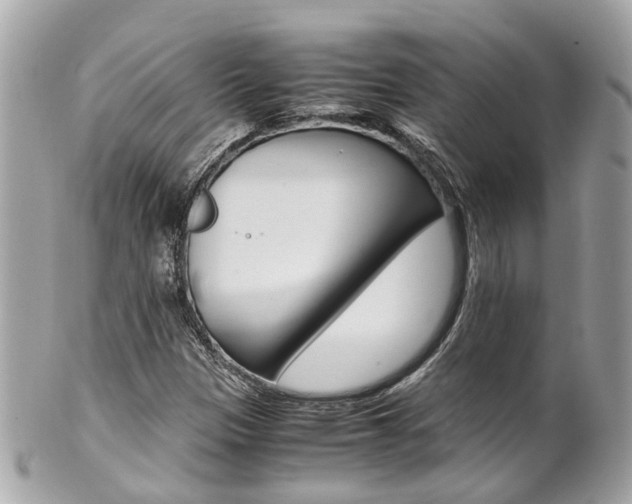 X0000102011305200807180902