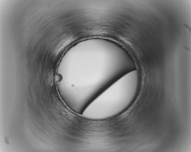 X0000102011306200807180902
