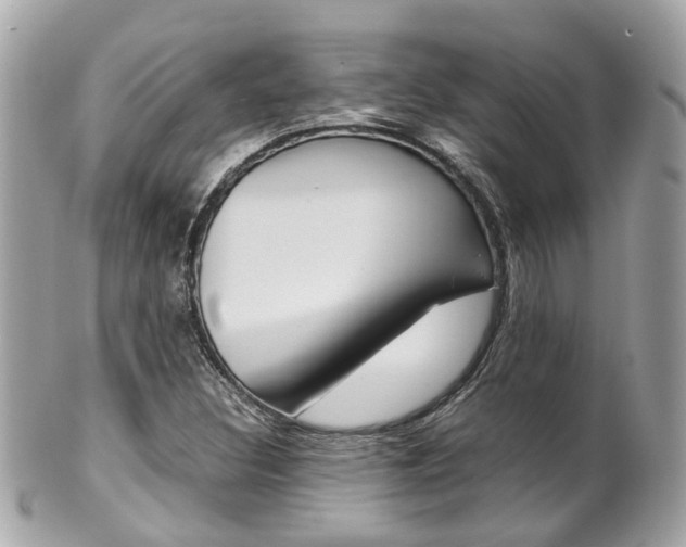 X0000102011308200807180902