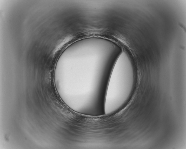 X0000102011309200807180902