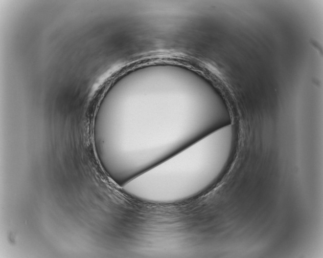 X0000102011310200807180902
