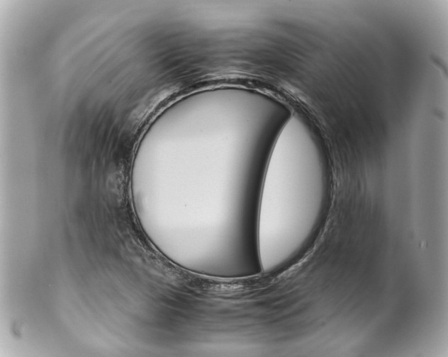 X0000102011313200807180902