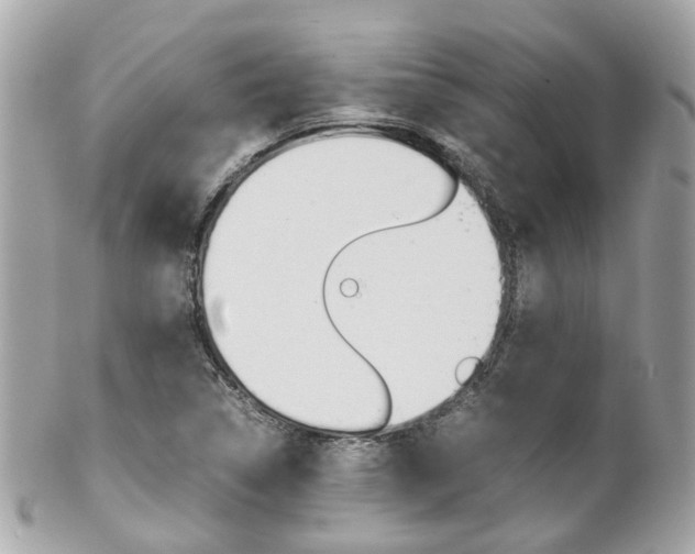 X0000102011314200807180902
