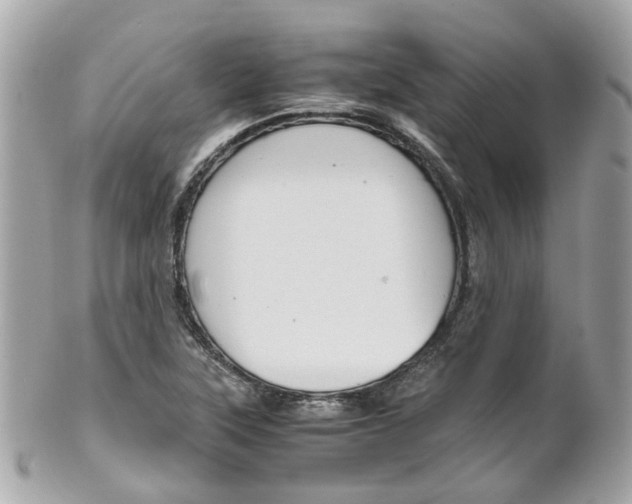 X0000102011315200807180902