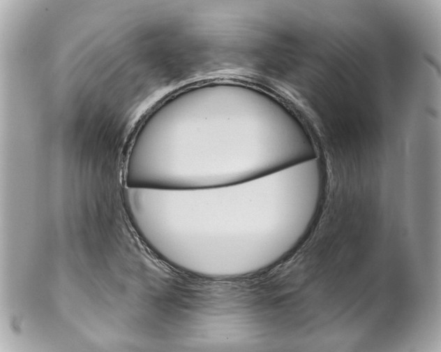 X0000102011316200807180902