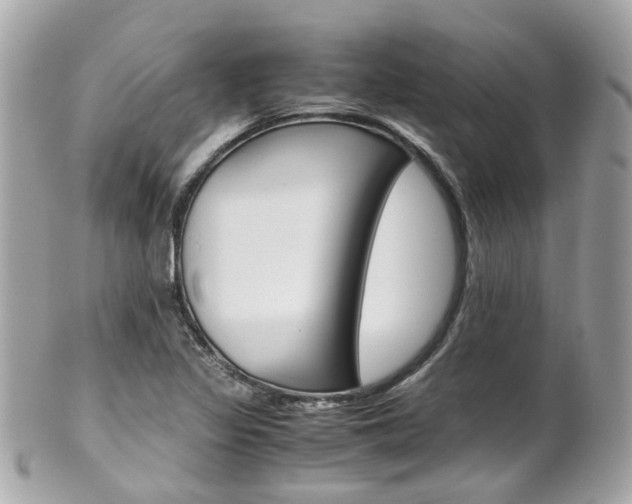 X0000102011317200807180902