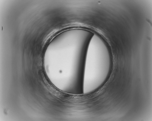 X0000102011318200807180902