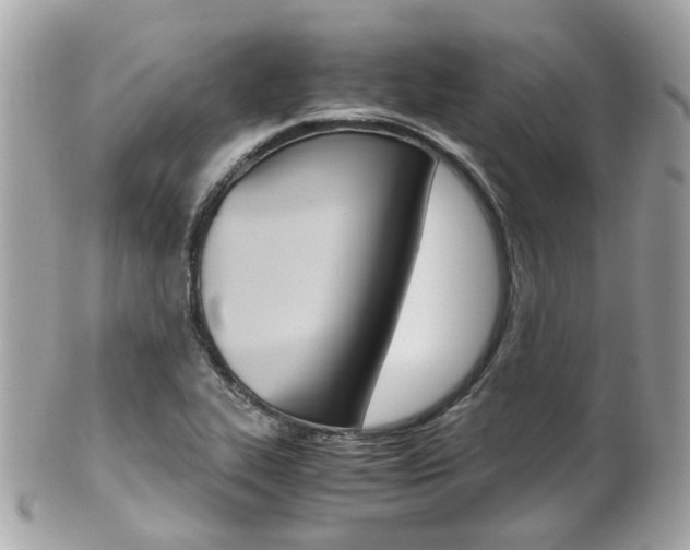 X0000102011319200807180902