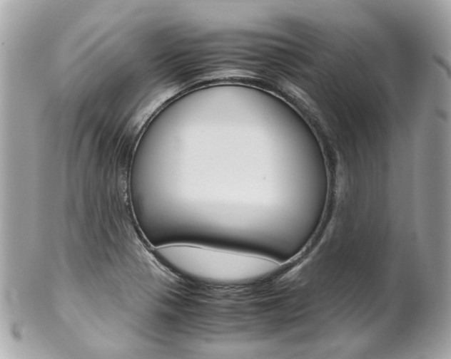 X0000102011321200807180902