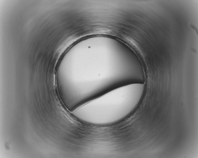 X0000102011324200807180902