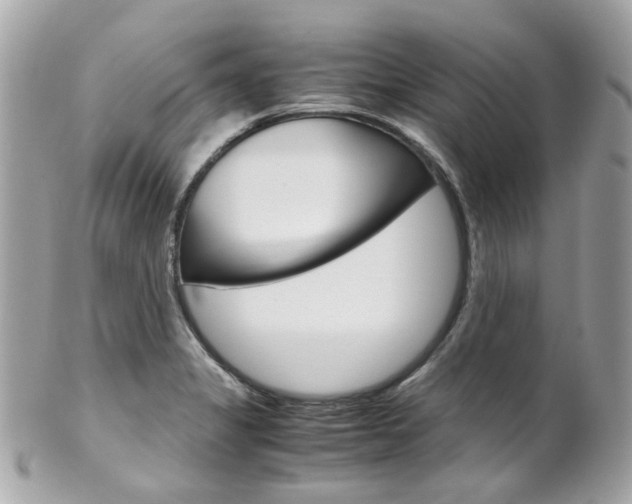 X0000102011325200807180902