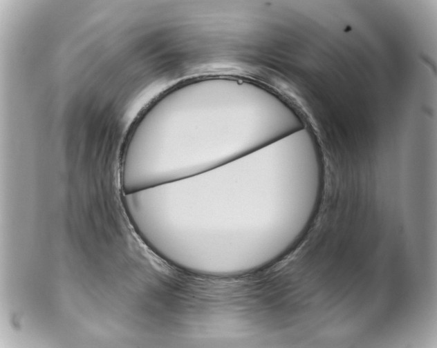 X0000102011328200807180902