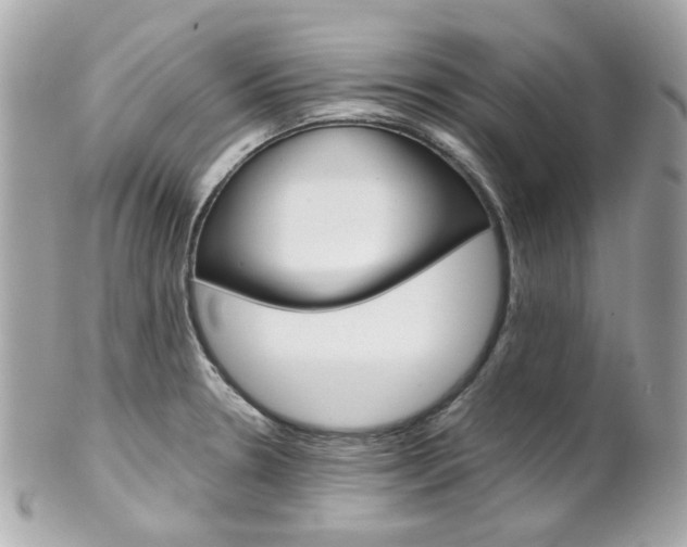 X0000102011330200807180902