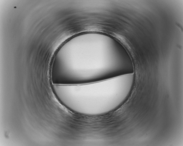 X0000102011331200807180902