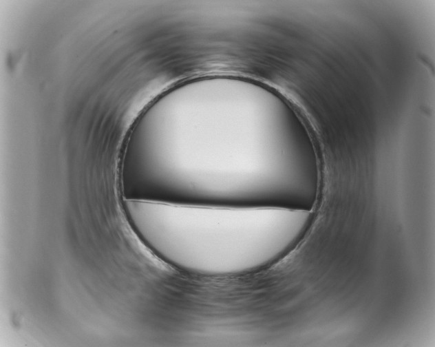 X0000102011333200807180902