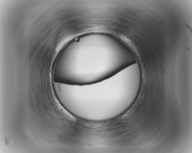 X0000102011334200807180902