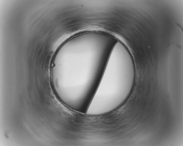 X0000102011335200807180902