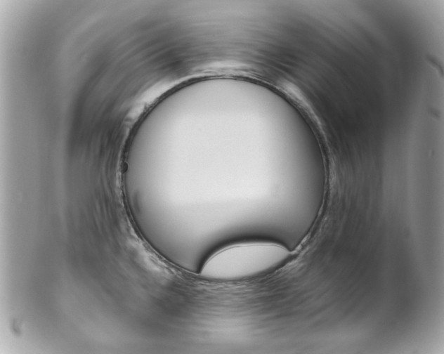 X0000102011336200807180902