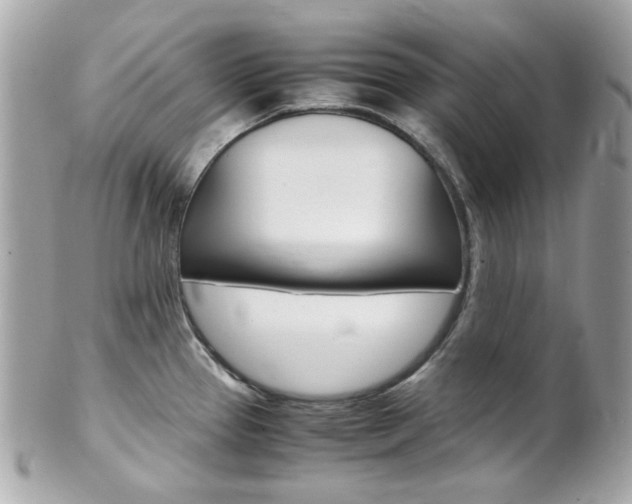 X0000102011337200807180902