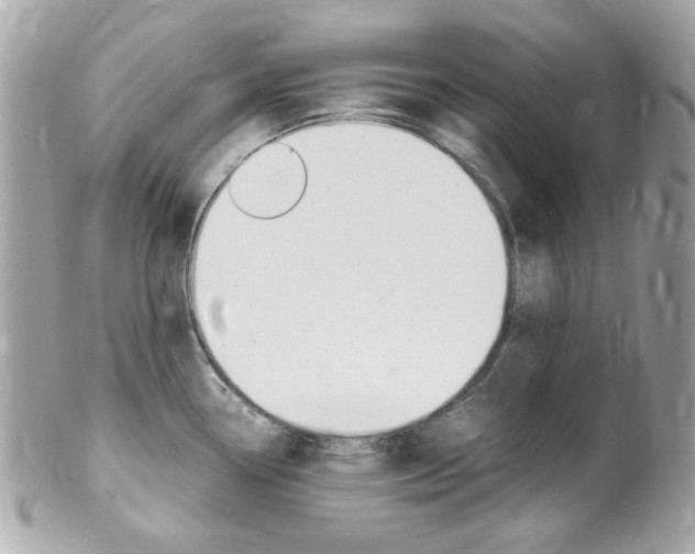 X0000102011338200807180902