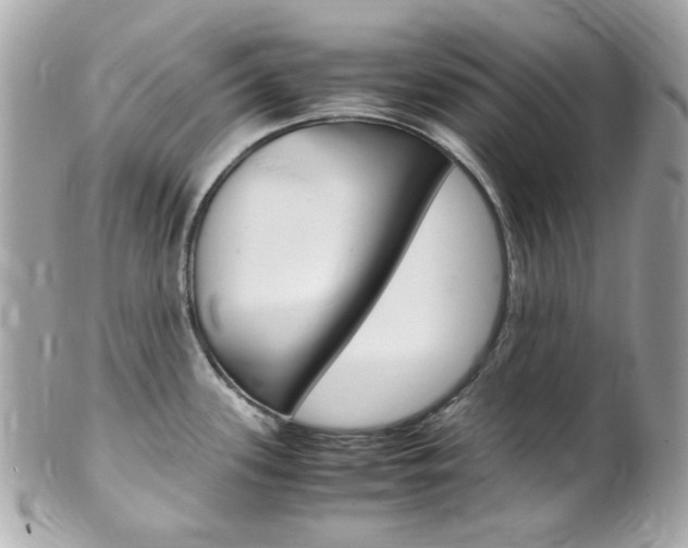 X0000102011339200807180902