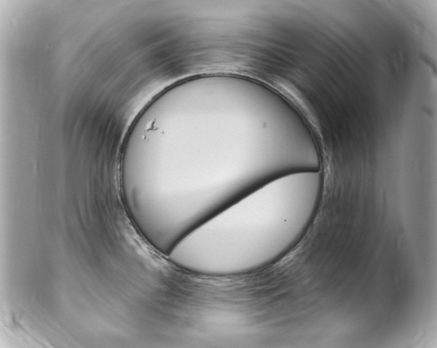 X0000102011340200807180902