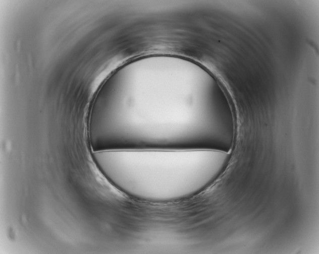X0000102011341200807180903