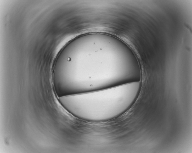 X0000102011342200807180903