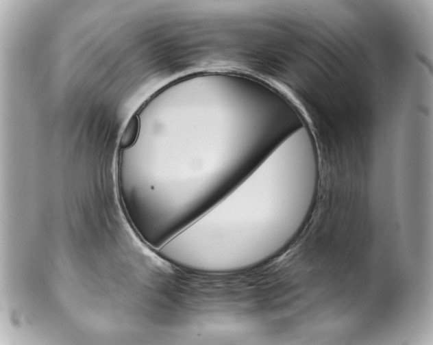 X0000102011343200807180903