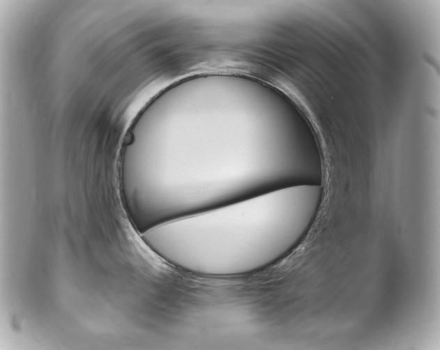 X0000102011344200807180903