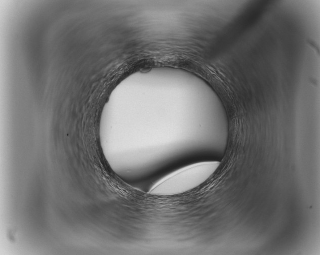 X0000102011345200807180902