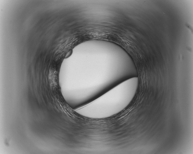 X0000102011346200807180902
