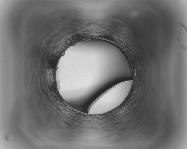 X0000102011347200807180902