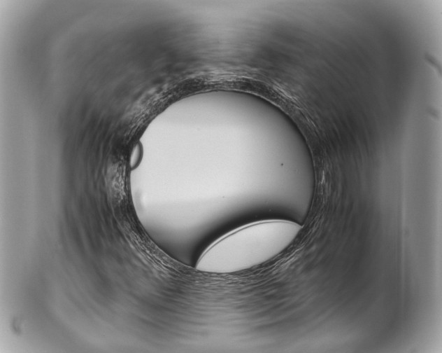X0000102011348200807180902