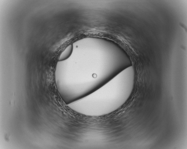 X0000102011350200807180902