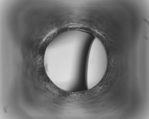 X0000102011351200807180902