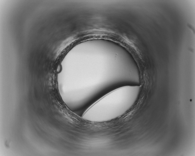 X0000102011352200807180902