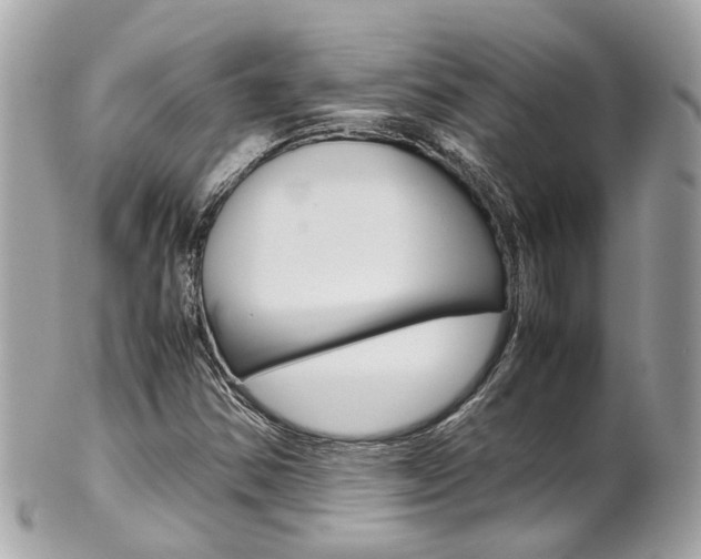 X0000102011354200807180902