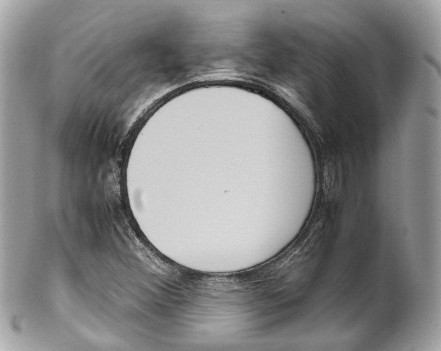 X0000102011356200807180902