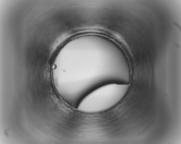 X0000102011360200807180902