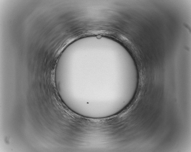 X0000102011361200807180902