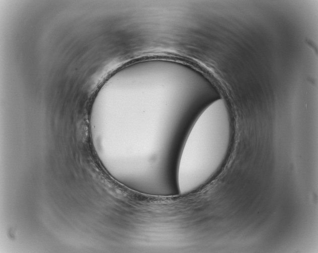 X0000102011363200807180902