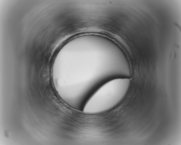 X0000102011364200807180902