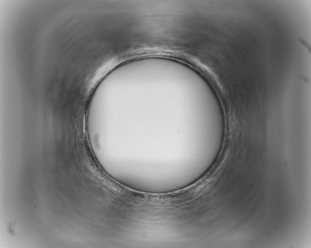 X0000102011365200807180902