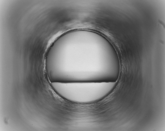 X0000102011366200807180902