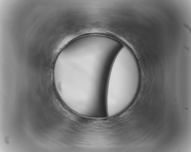 X0000102011367200807180902