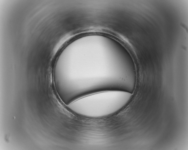 X0000102011368200807180902