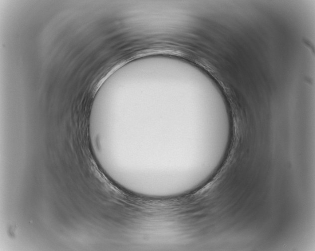 X0000102011369200807180902